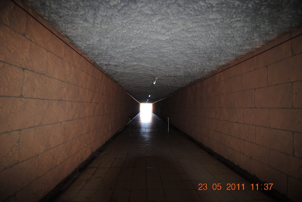 imagini hotel AMELIA BEACH RESORT SIDE